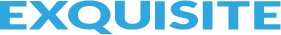 Exquisite Software Logo